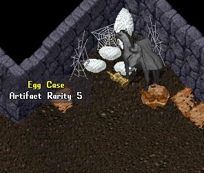 Egg Case Spawn Location