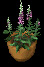 Potted Plant