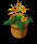 Potted Plant