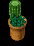 Potted Cactus