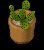 Potted Cactus