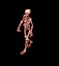 Skeleton Mage