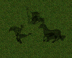 Ethernal Mounts